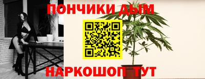гидра Заводоуковск