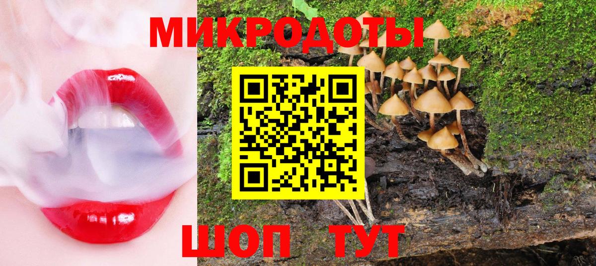 Кулебаки  закладка  Вход с VPN  Псилоцибиновые грибы MAGIC MUSHROOMS  Галлюциногенные грибы GOLDEN TEACHER 